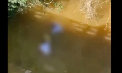 WhatsApp Image 2025-02-04 at 17.38.39