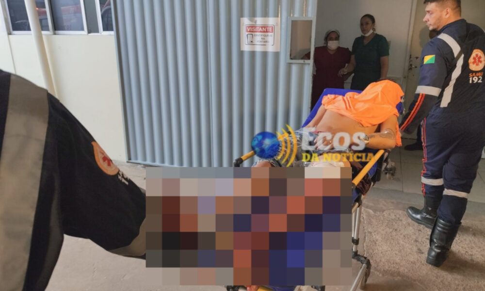 WhatsApp Image 2025-02-04 at 20.19.07 WhatsApp Image 2025-02-04 at 20.19.07