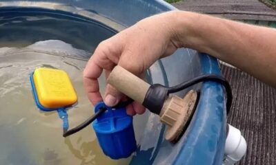 WhatsApp Image 2025-02-08 at 10.50.53