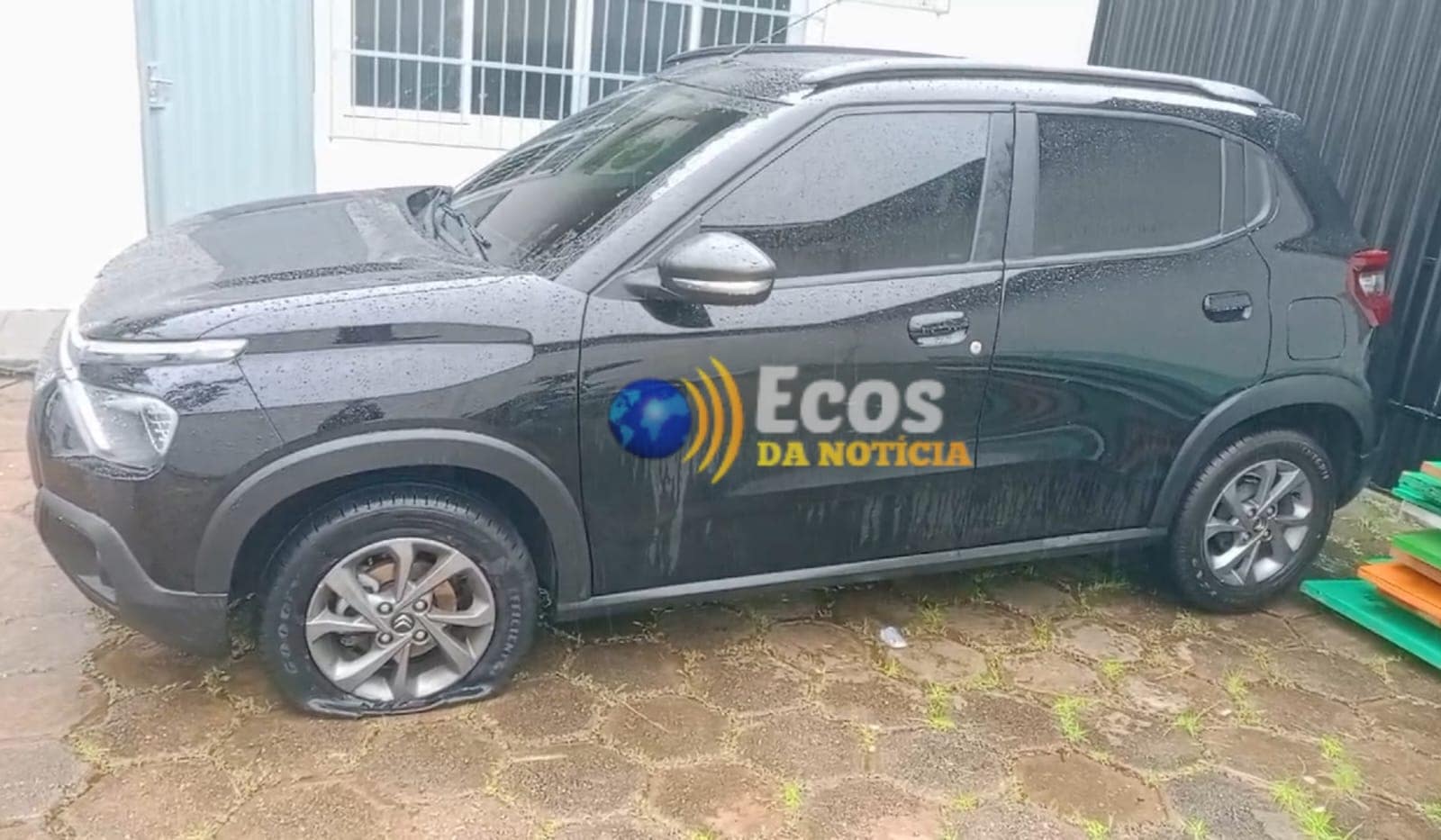 Criminosos invadem residência, rendem e agride proprietário e roubam joias, cachorro, 2 gatos e veículo em Rio Branco