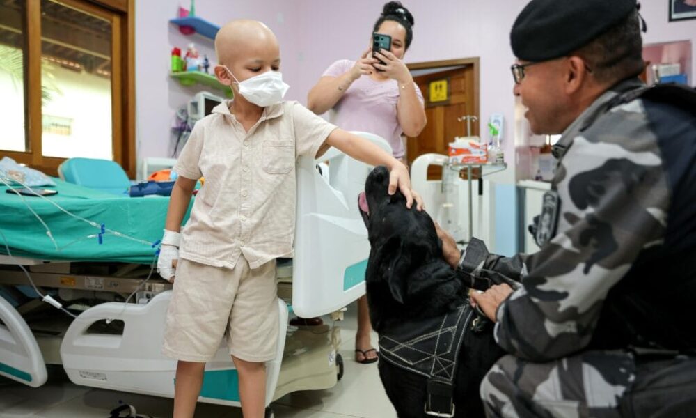 WhatsApp-Image-2025-02-12-at-10.18.40-1024×683 A brinquedoteca foi inaugurada em 2013 e recentemente foi revitalizada para melhor atender seus pacientes. Foto: José Caminha/Secom