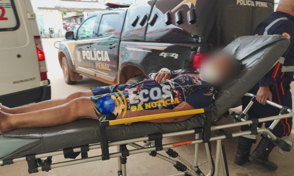 WhatsApp Image 2025-02-12 at 19.01.52