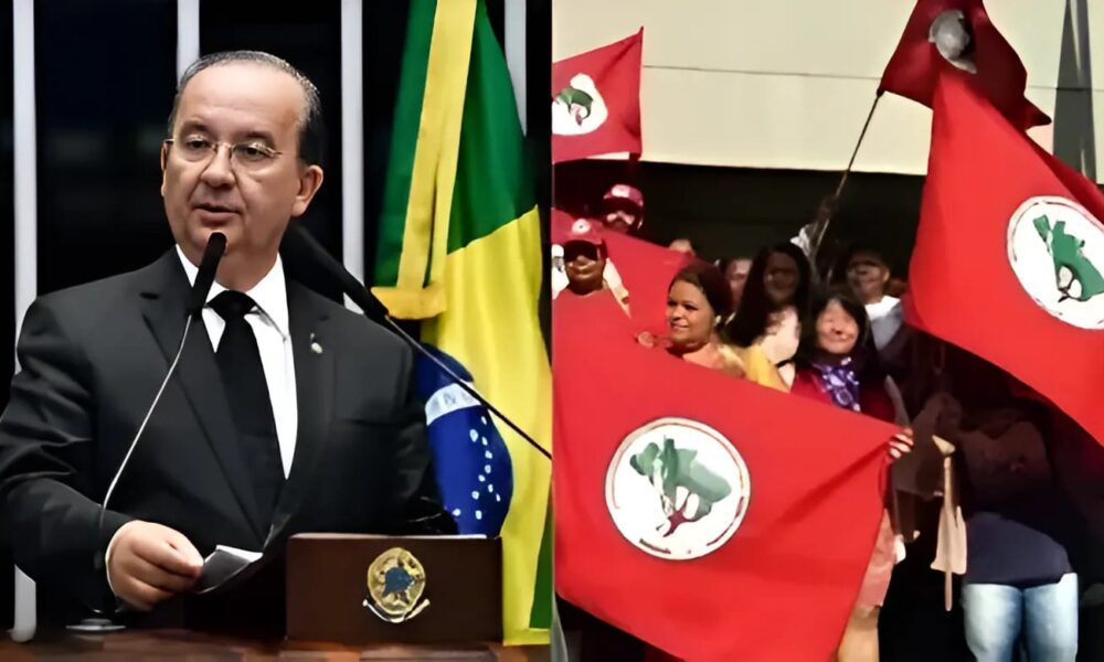 WhatsApp Image 2025-02-14 at 17.20.49 WhatsApp Image 2025-02-14 at 17.20.49