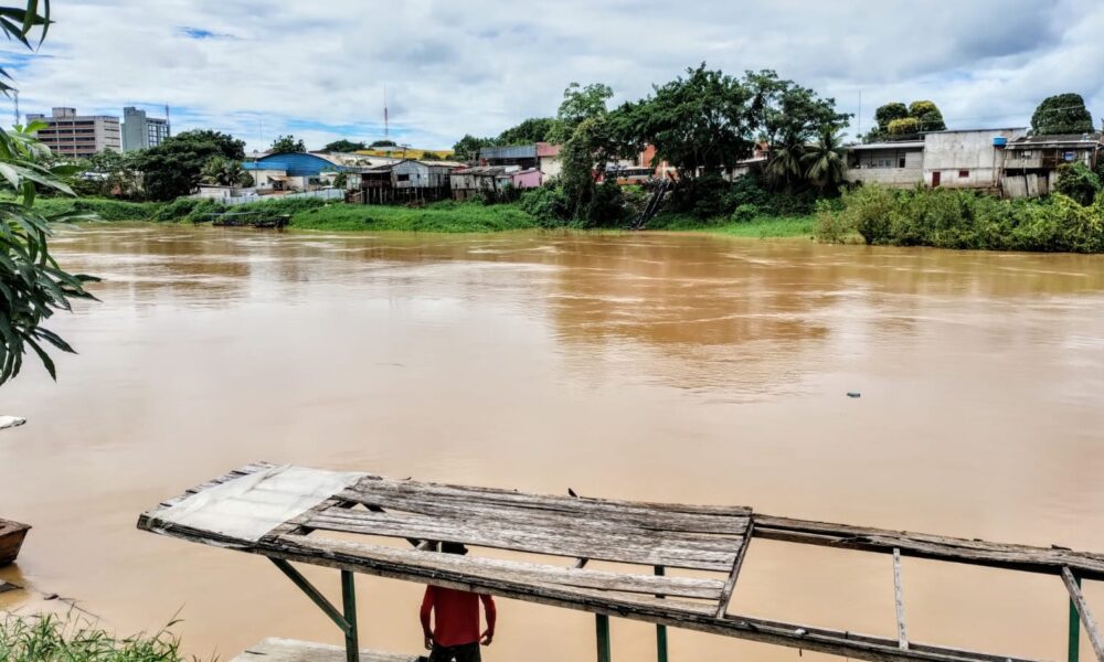 WhatsApp Image 2025-02-14 at 18.33.39 WhatsApp Image 2025-02-14 at 18.33.39