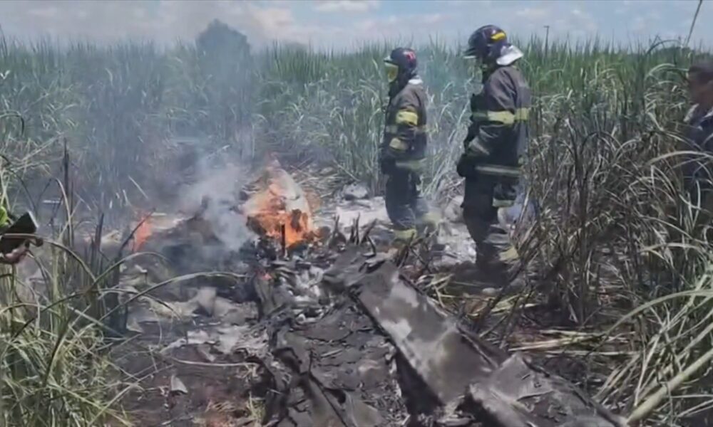 WhatsApp Image 2025-02-15 at 14.17.57