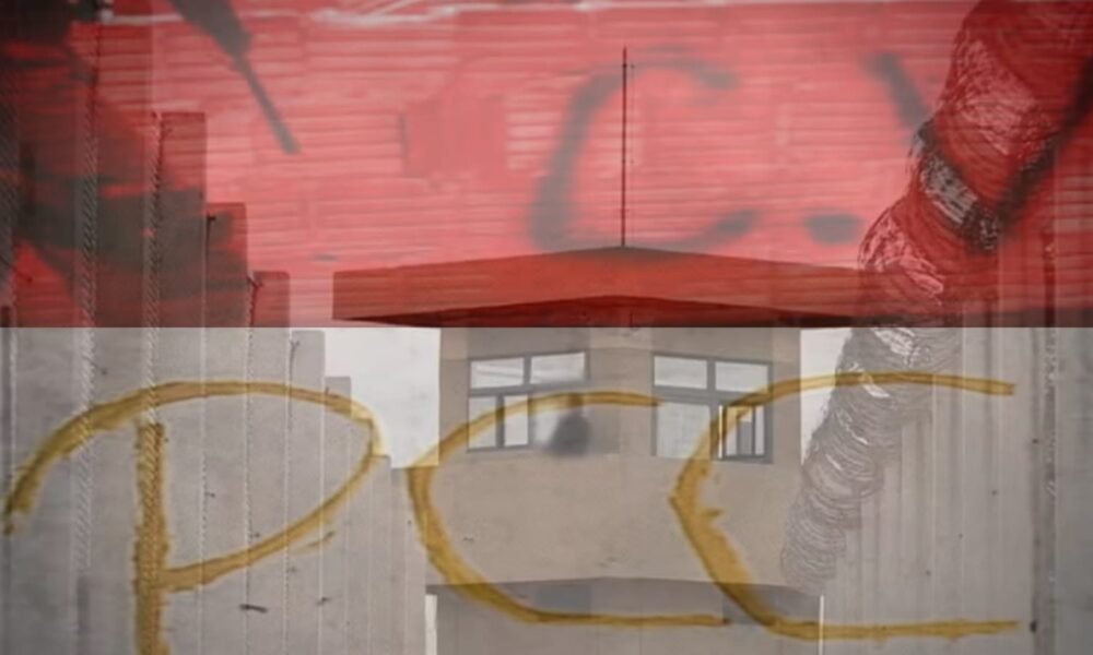 WhatsApp Image 2025-02-17 at 10.11.30