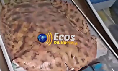 WhatsApp Image 2025-02-17 at 19.37.01 WhatsApp Image 2025-02-17 at 19.37.01