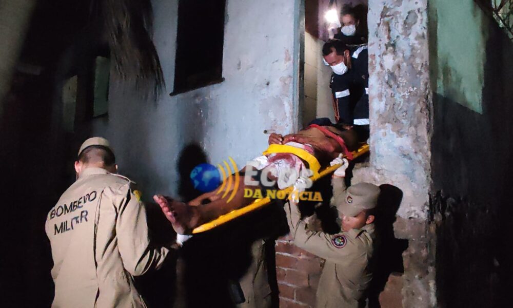 WhatsApp Image 2025-02-20 at 02.50.45