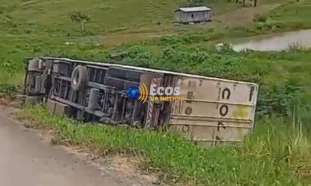 WhatsApp Image 2025-02-23 at 16.53.51