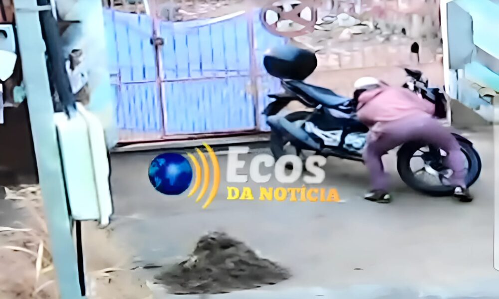 WhatsApp Image 2025-02-25 at 13.50.17 WhatsApp Image 2025-02-25 at 13.50.17