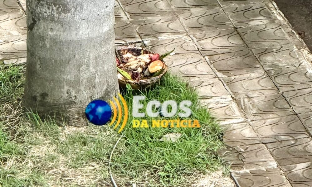 WhatsApp Image 2025-02-27 at 22.17.31