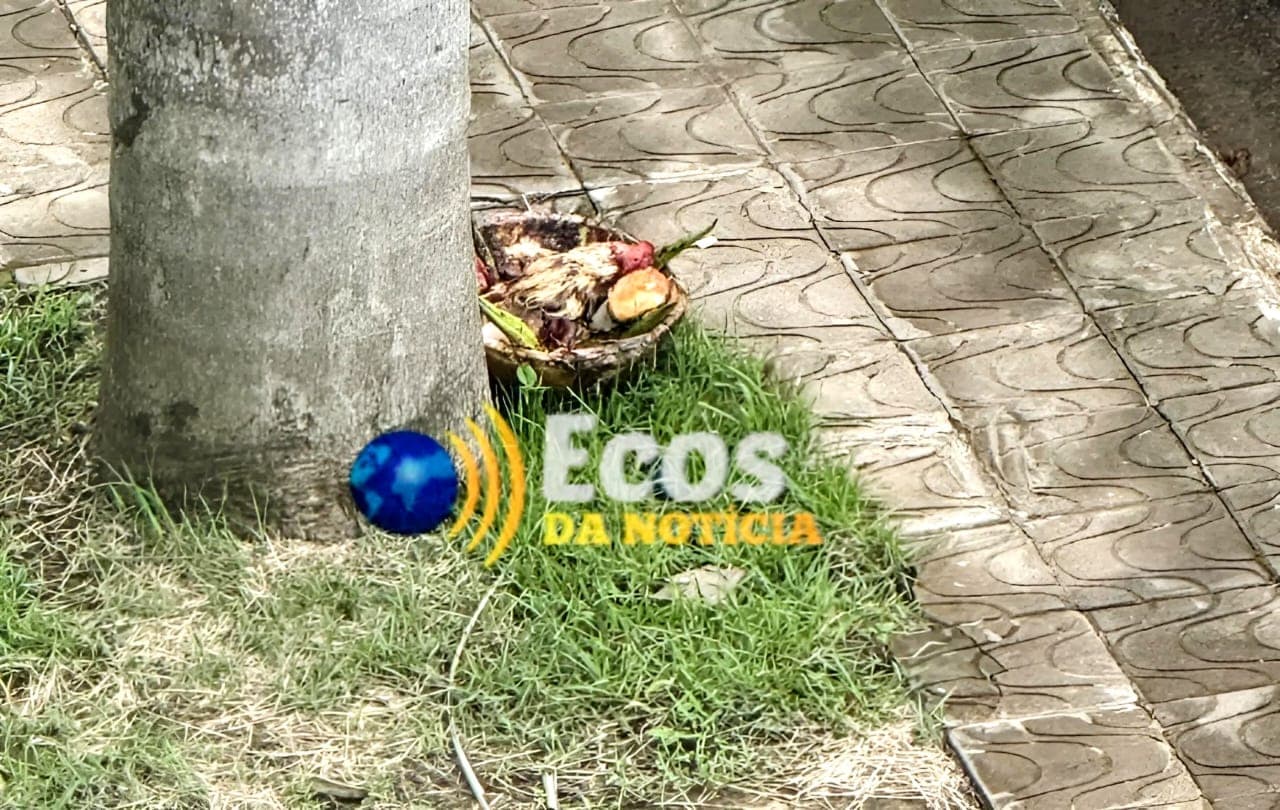 Homem deixa despacho com galinha e pescoço em frente ao MPAC