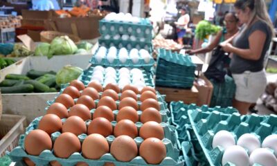 Preços dos ovos dispararam nas últimas semanas. — Foto: Romildo de Jesus/Estadão Conteúdo