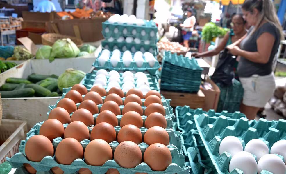 Preços dos ovos dispararam nas últimas semanas. — Foto: Romildo de Jesus/Estadão Conteúdo