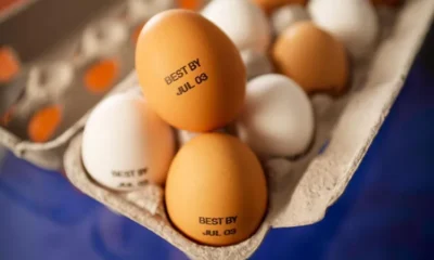 Casca de ovo será marcada a partir de março de 2025
Divulgação/Markem-Imaje