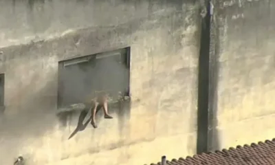 (Foto: Reprodução/TV Globo)