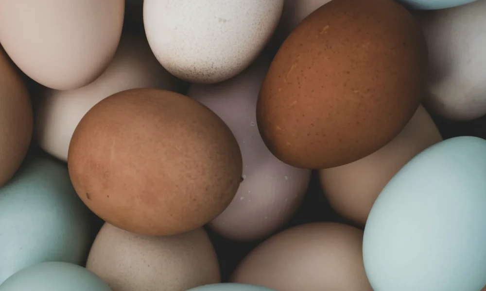 Devido à escassez de oferta, os preços dos ovos subiram 14% somente entre novembro e dezembro • Katie Bernotsky / Unsplash