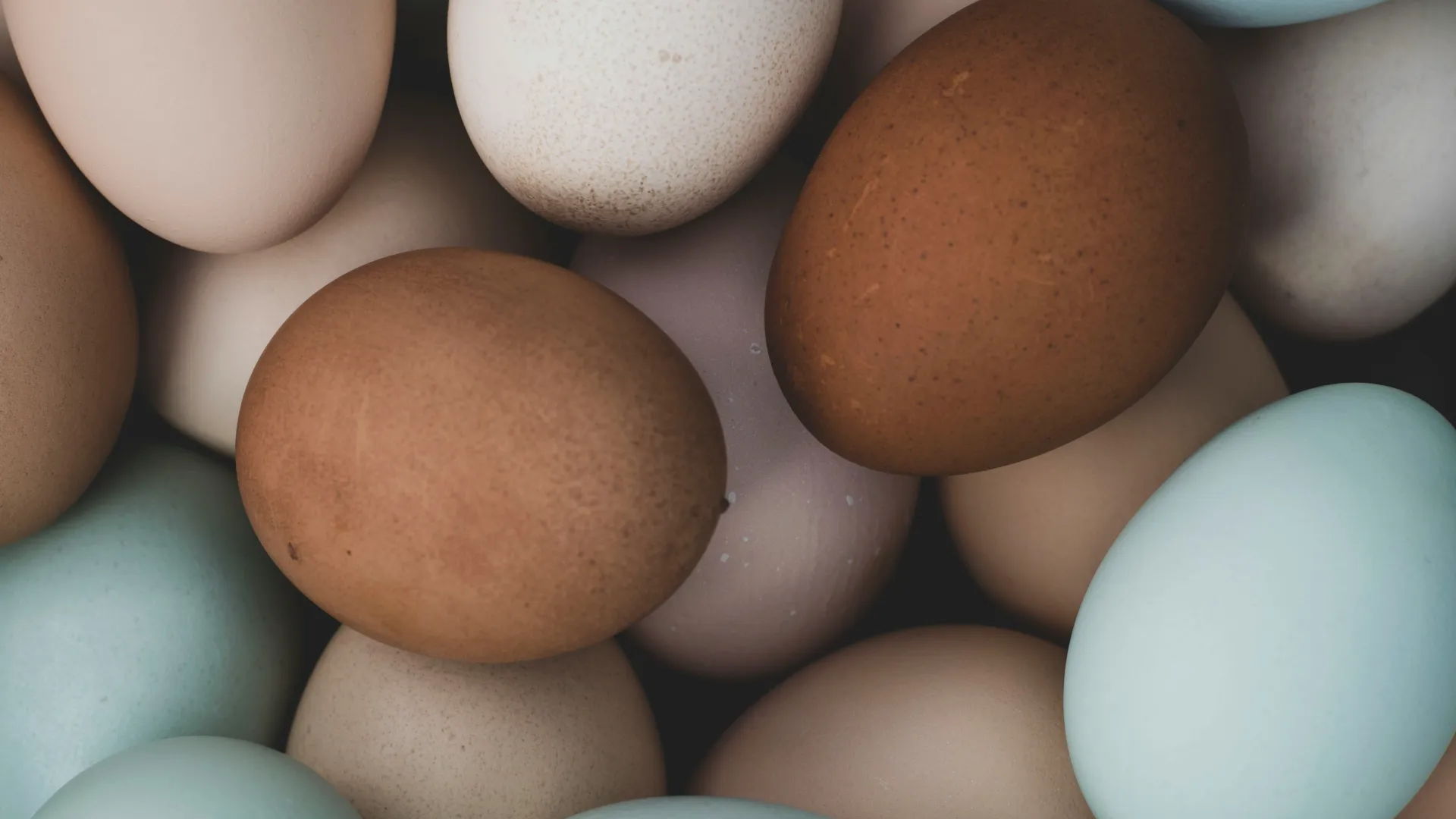 Mercados dos EUA limitam quantidade de ovos por pessoa com alta dos preços