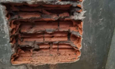 0c510ea0-747c-43de-b330-5b762b0d8c92-1000×600 0c510ea0-747c-43de-b330-5b762b0d8c92-1000x600