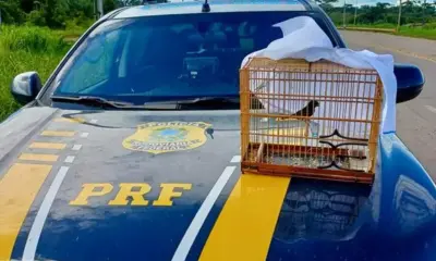 107cf1c0-5c63-42ea-a154-343f9435ebc8-576×600