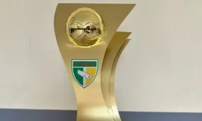 99379cd2-723f-4933-84c0-c7c05e254784-e1743168010502-1000x600