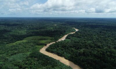 AMAZONIA-FLORESTA-DESMA-PEDRO-DEVANIR-1000×600 Foto: Pedro Devanir
