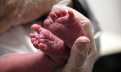 BEBE-PARTO-RECEM-NASCIDO BEBE-PARTO-RECEM-NASCIDO