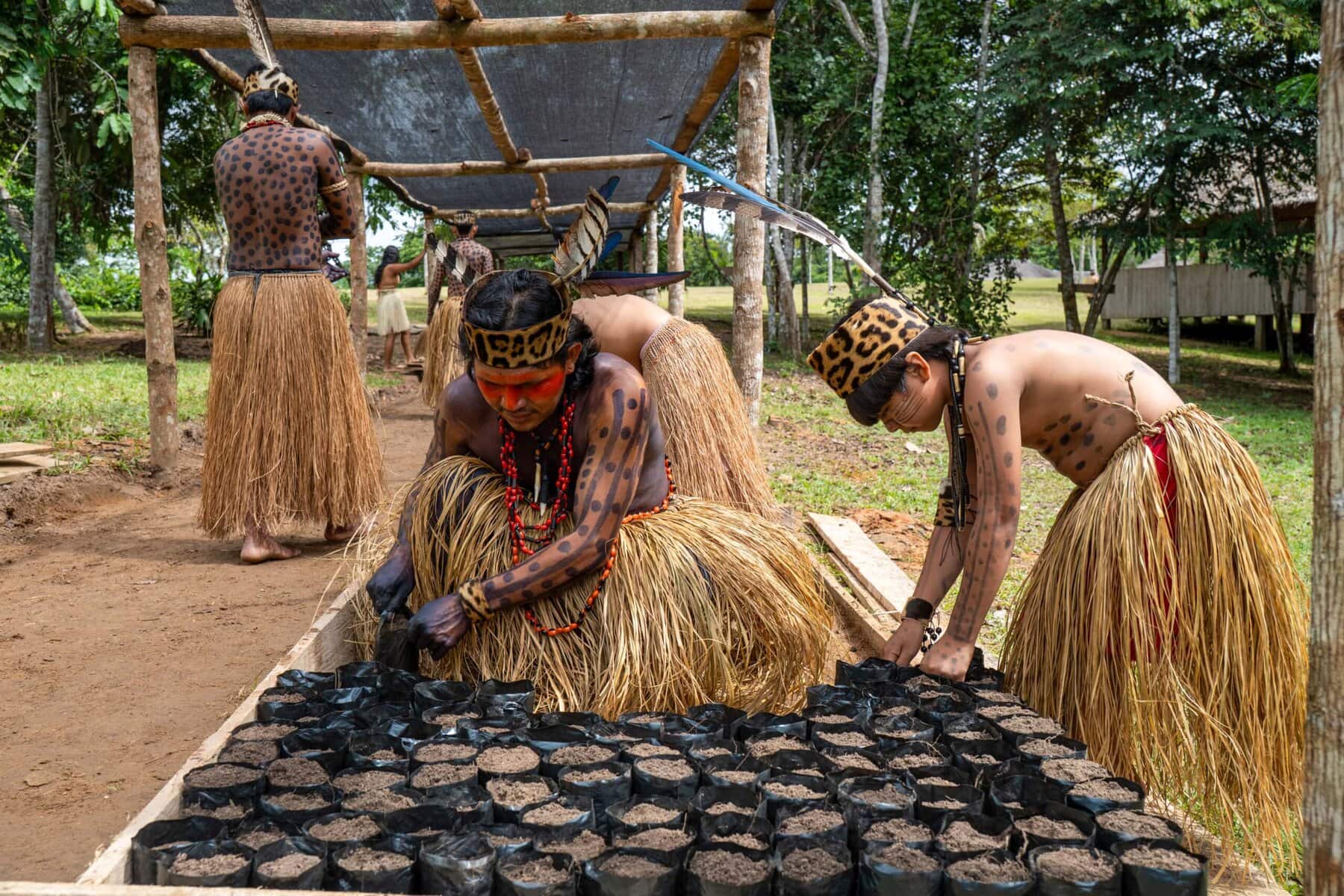 Para enfrentar mudanças climáticas, aldeia Nukini promove vivência de reflorestamento