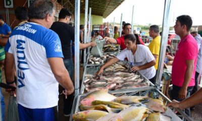 Feira-do-peixe-CEASA-Fotos-Assis-Lima-9-1000×600 Feira-do-peixe-CEASA-Fotos-Assis-Lima-9-1000x600