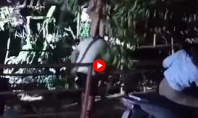 Frame-517-2025-03-01T070012 Frame-517-2025-03-01T070012