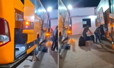 Frame-517-2025-03-02T074307