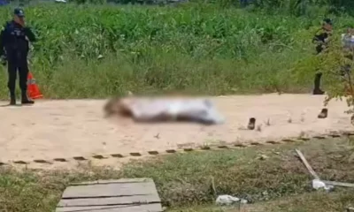 Frame-517-g9-976×600 Frame-517-g9-976x600