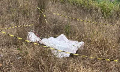 Frame-551-21-976x600