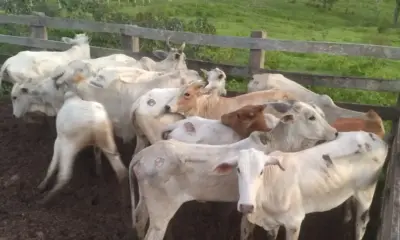 IMG_5935-e1743093536224-1000×600 Foto: cedida