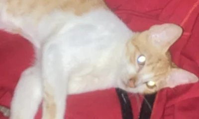 IMG_8255-1000×600 IMG_8255-1000x600