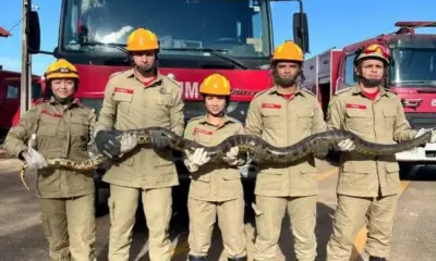 PHOTO-2025-03-24-07-07-51-788x600