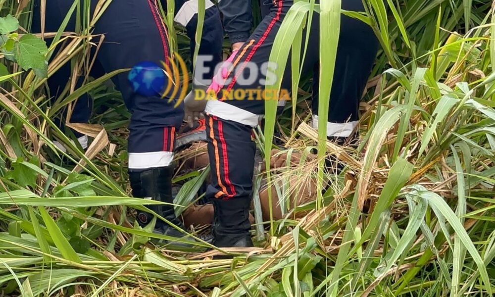 WhatsApp Image 2025-03-06 at 15.08.34 WhatsApp Image 2025-03-06 at 15.08.34