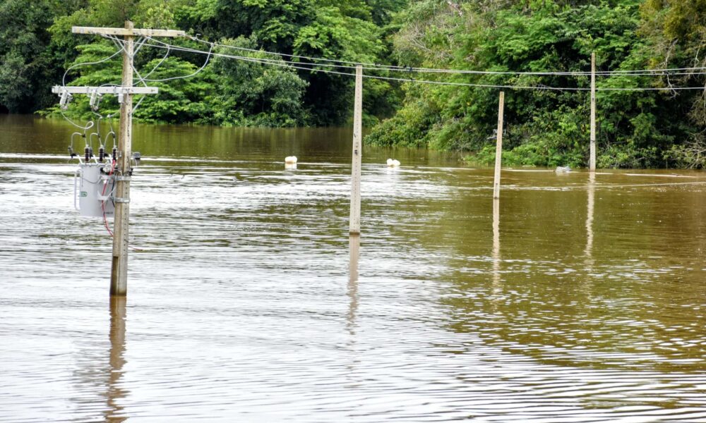 Foto: Jean Lopes/CEPDEC.