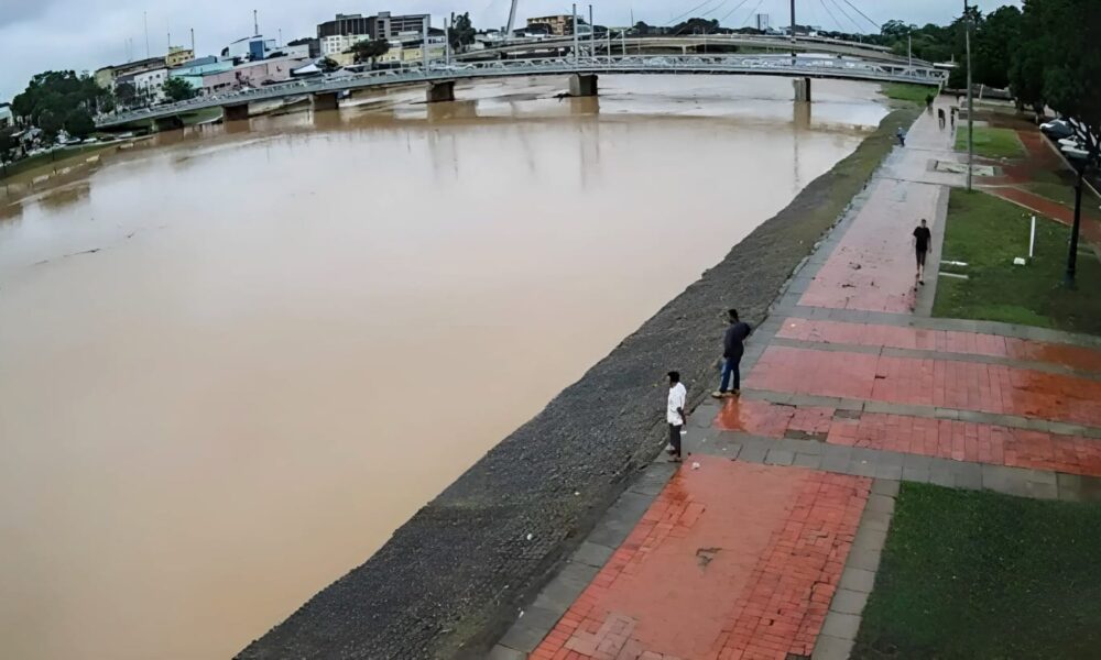 WhatsApp Image 2025-03-10 at 11.41.51 WhatsApp Image 2025-03-10 at 11.41.51