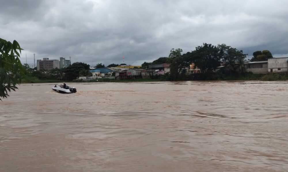 WhatsApp Image 2025-03-11 at 09.17.43 WhatsApp Image 2025-03-11 at 09.17.43