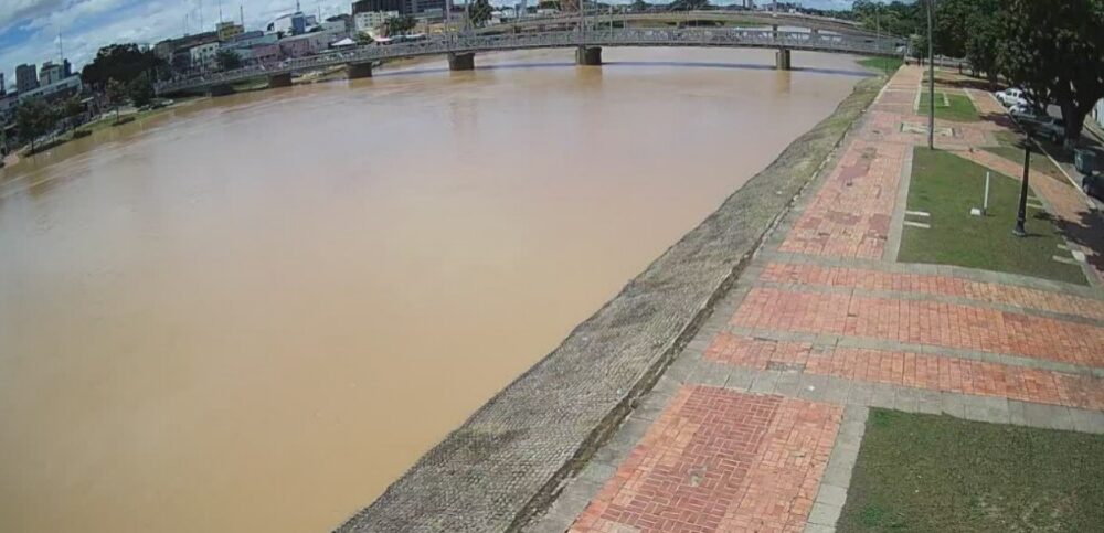 WhatsApp Image 2025-03-11 at 14.42.22 WhatsApp Image 2025-03-11 at 14.42.22