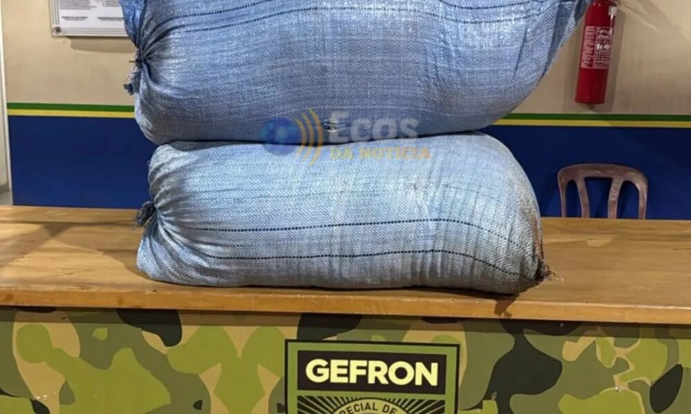 WhatsApp Image 2025-03-12 at 03.24.53