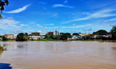 WhatsApp Image 2025-03-12 at 12.48.01 WhatsApp Image 2025-03-12 at 12.48.01