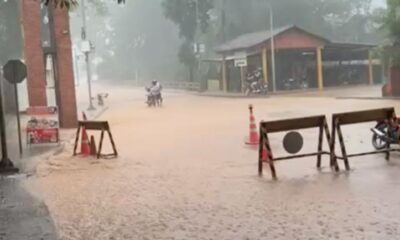 WhatsApp Image 2025-03-12 at 18.21.16 WhatsApp Image 2025-03-12 at 18.21.16