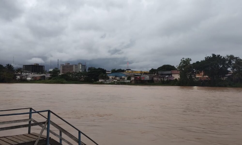 WhatsApp Image 2025-03-13 at 12.02.09 WhatsApp Image 2025-03-13 at 12.02.09