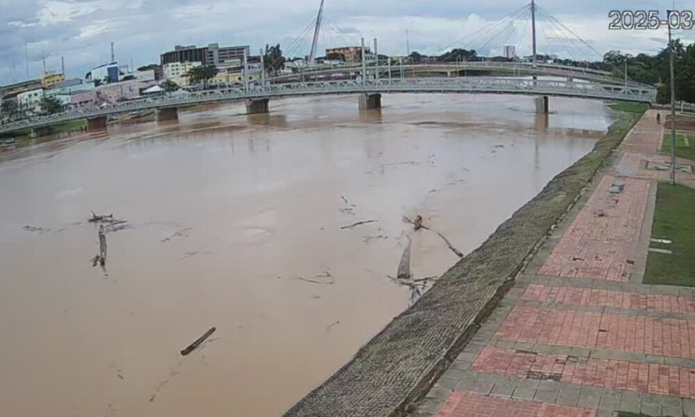 WhatsApp Image 2025-03-13 at 17.27.36 Foto: captura de tela retirada do site De Olho no Rio