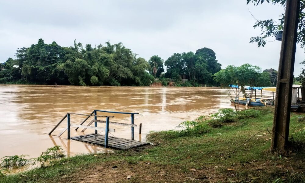 WhatsApp Image 2025-03-14 at 11.34.52 WhatsApp Image 2025-03-14 at 11.34.52