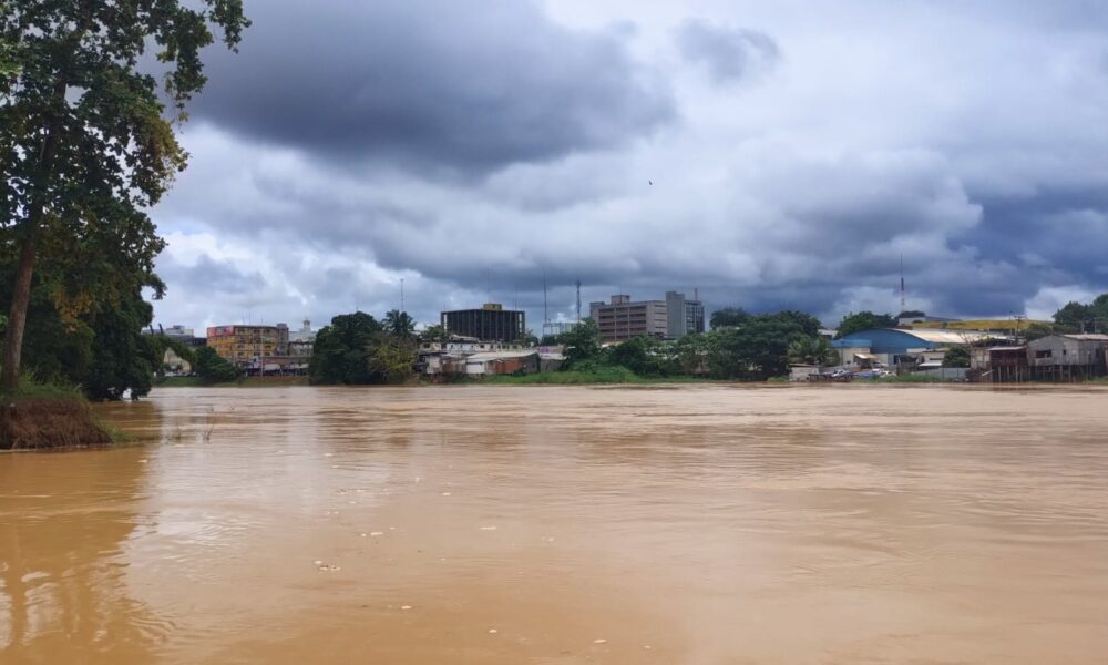 WhatsApp Image 2025-03-14 at 18.49.47