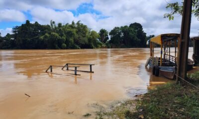 WhatsApp Image 2025-03-15 at 11.44.16 WhatsApp Image 2025-03-15 at 11.44.16