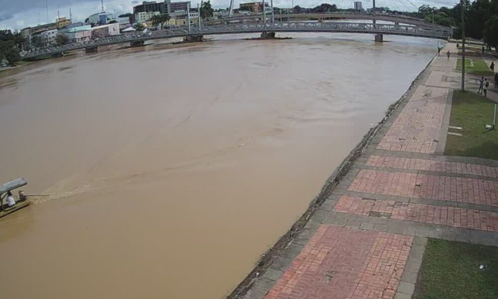 WhatsApp Image 2025-03-18 at 10.54.07